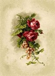 Картина "Бутоньерка красные розы"