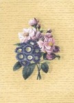 Картина "Бутоньерка синие цветы"